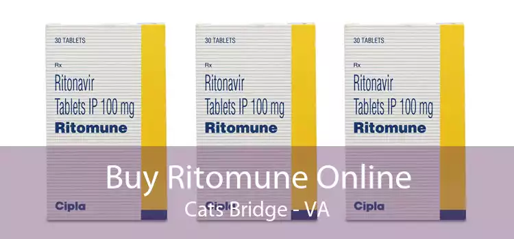 Buy Ritomune Online Cats Bridge - VA